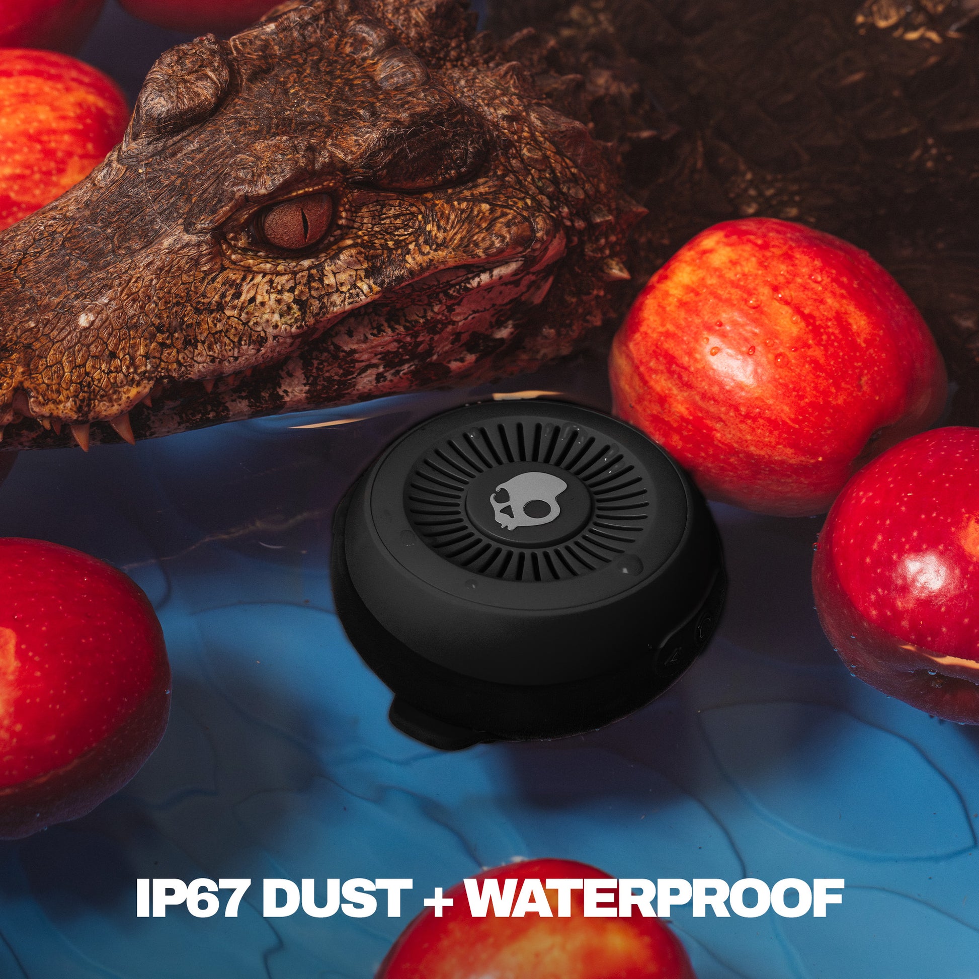 Small round device with crocodile and apples on a blue background, featuring 'IP67 Dust + Waterproof' text. | True Black