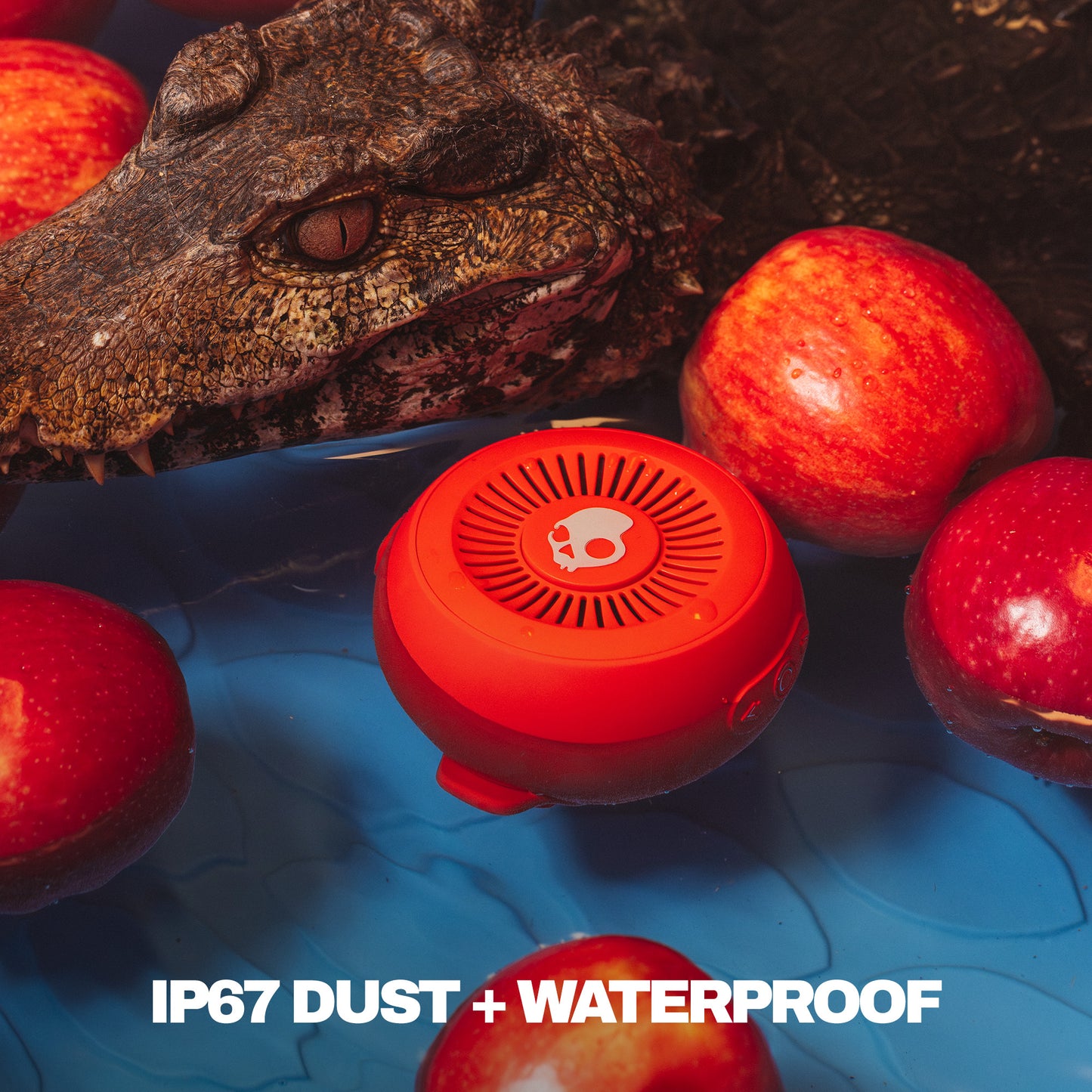 Small round device with crocodile and apples on a blue background, featuring 'IP67 Dust + Waterproof' text. | Plasma