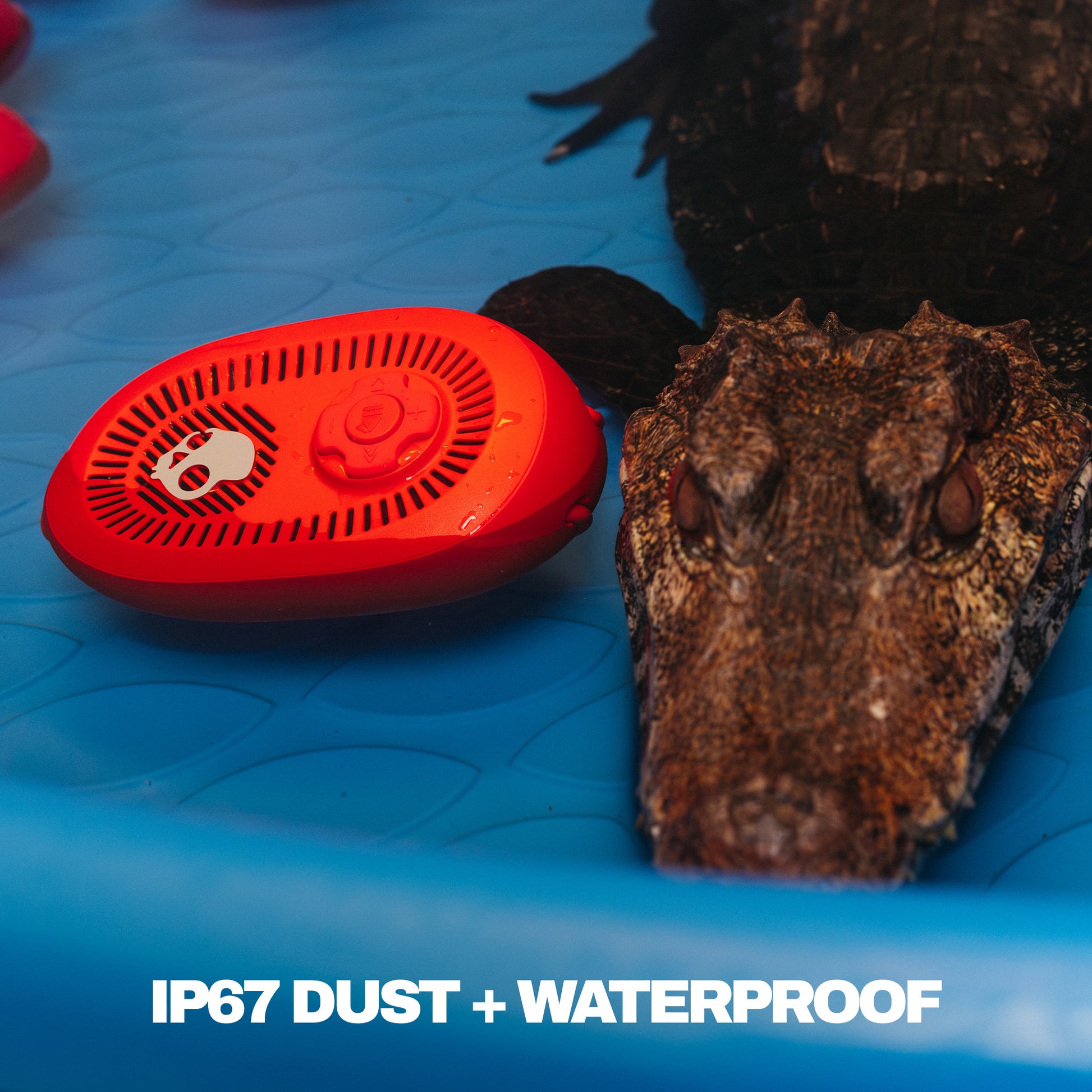 Red portable speaker on a blue surface with an alligator nearby, featuring 'IP67 DUST + WATERPROOF' text. | Plasma